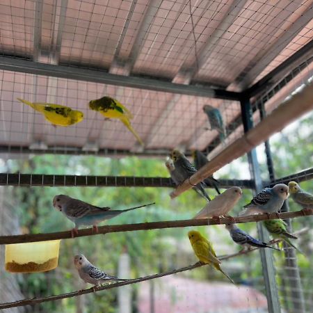 Banana Place Resort Chumphon Bagian luar foto
