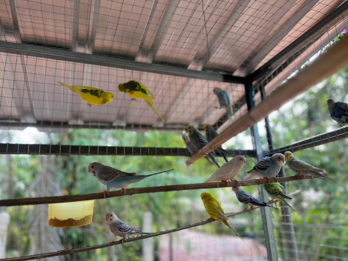 Banana Place Resort Chumphon Bagian luar foto